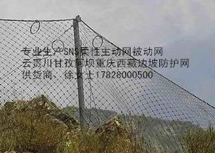 重庆边坡防护网被动网,SNS柔性防护网单价,厂家 荐